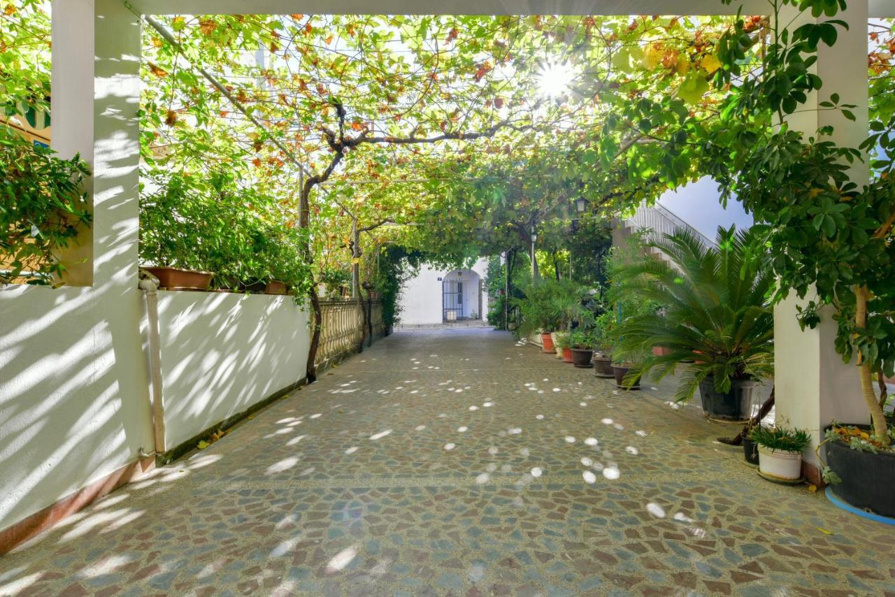 Guest house And Oregon Budva